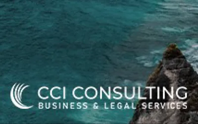 CCI Consulting