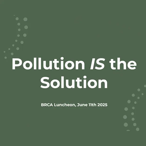 Pollution IS the solution