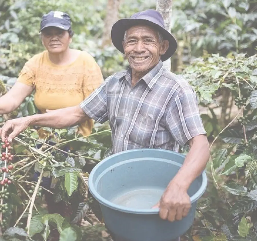BRCA - Bali Beans Coffee