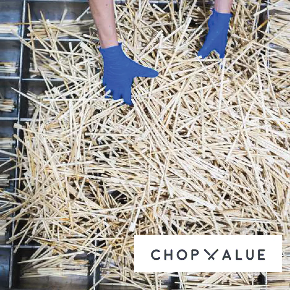 ChopValue