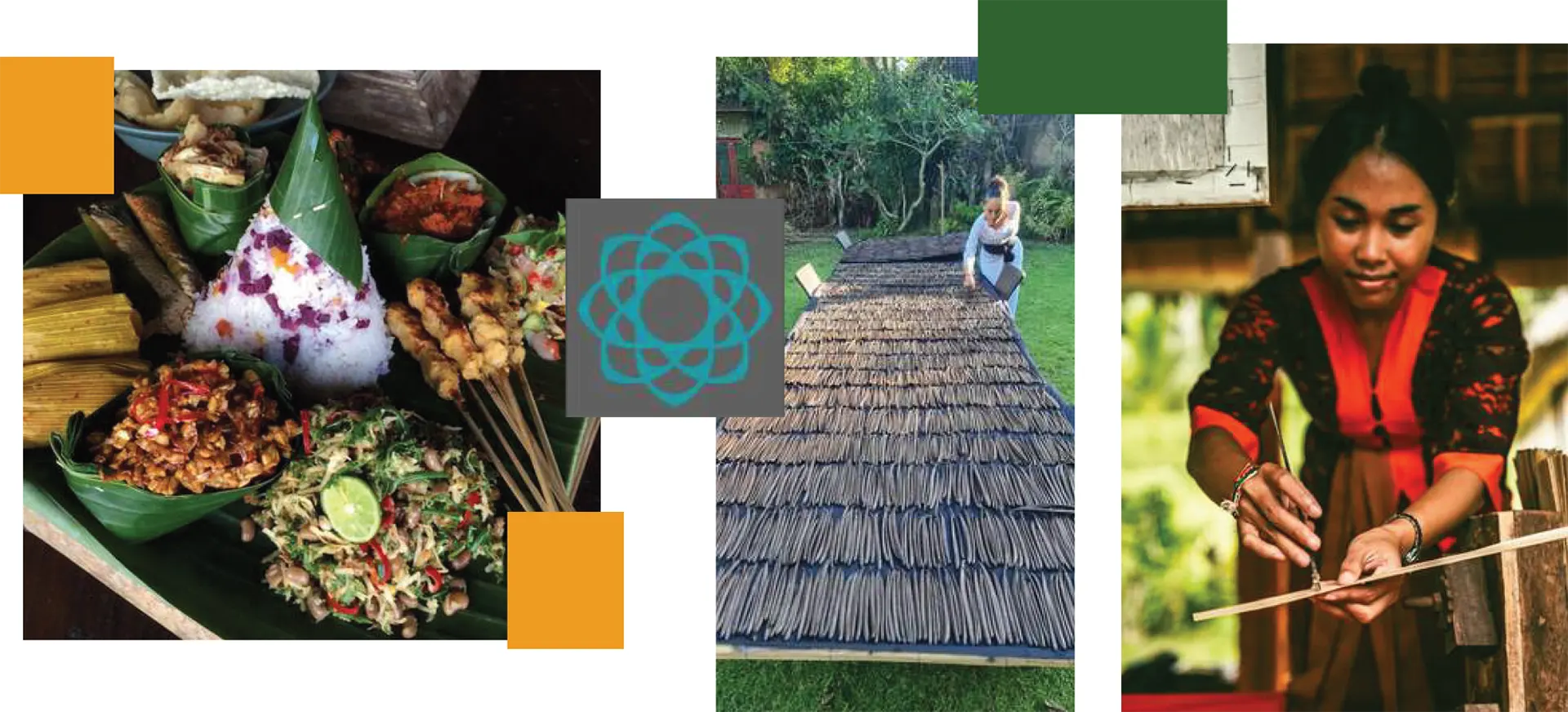 Newsletter November Hightlight