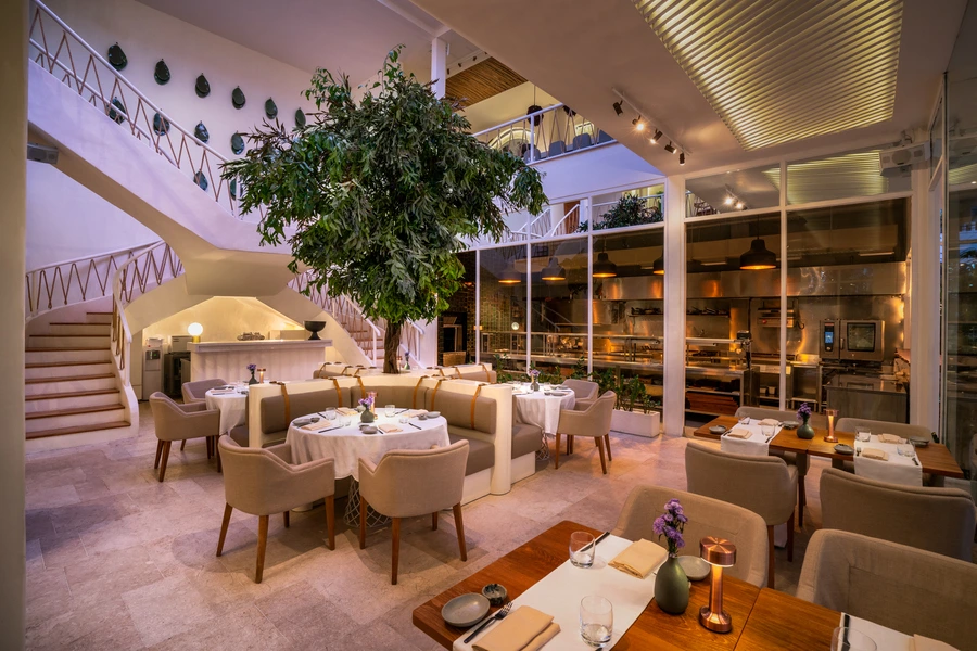 Fine Dining Under the Tree at Mauri
