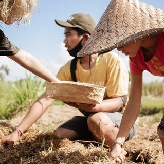 Local Farmers