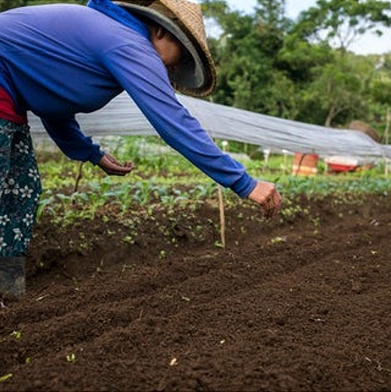 Farmer Planting Corps