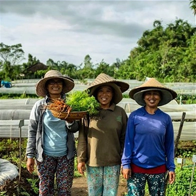 Local family farms